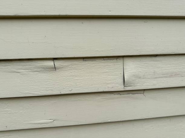 How To Choose The Right Materials for Your Siding Installation in 'Hillsboro, WI